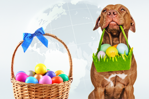 news ostern