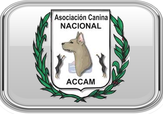 Asociacion Canina Nacional ACCAM