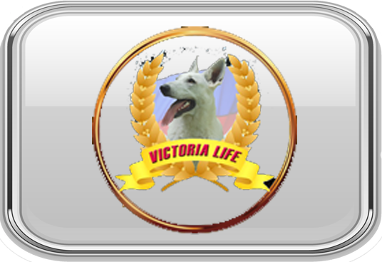 CYNOLOGY CLUB "VICTORIA LIFE" (RUSSLAND)
