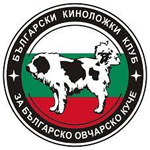 Bulgarsko Ovcharsko Kuche - Montana Club (BULGARIEN)