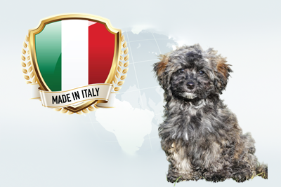 italiea