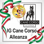 Cane Corso Alleanza IG ( CCAIG ) 